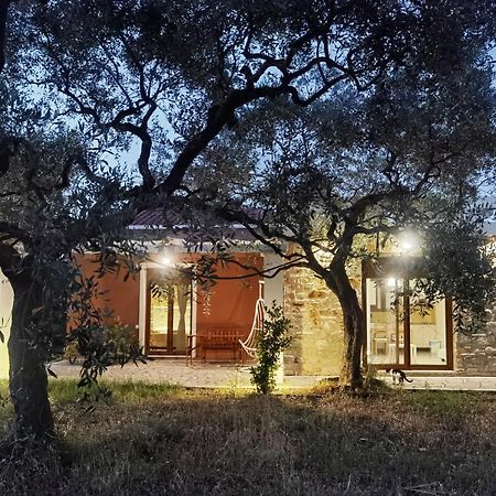 Elea Stone Houses In Organic Quiet Olive Grove, Prinos, Thassos Eksteriør billede