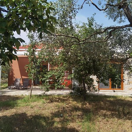 Elea Stone Houses In Organic Quiet Olive Grove, Prinos, Thassos Værelse billede