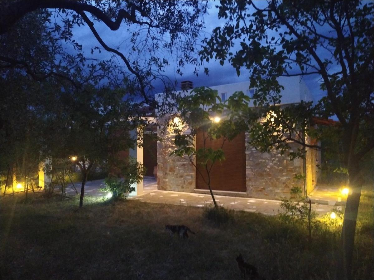 Elea Stone Houses In Organic Quiet Olive Grove, Prinos, Thassos Eksteriør billede