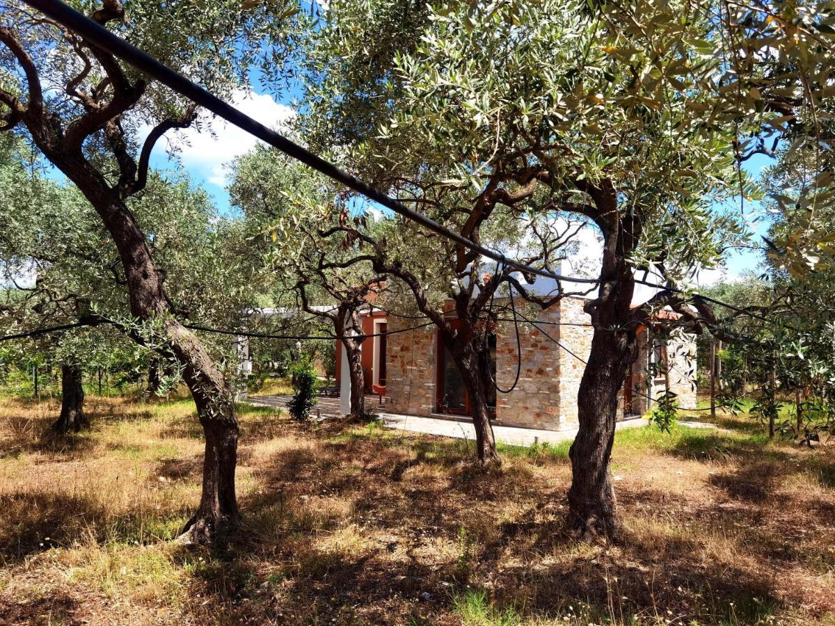 Elea Stone Houses In Organic Quiet Olive Grove, Prinos, Thassos Eksteriør billede