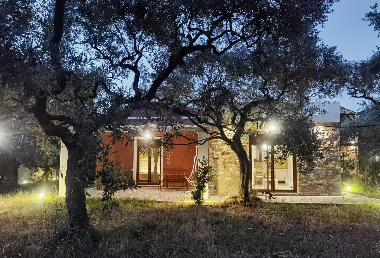 Elea Stone Houses In Organic Quiet Olive Grove, Prinos, Thassos Eksteriør billede