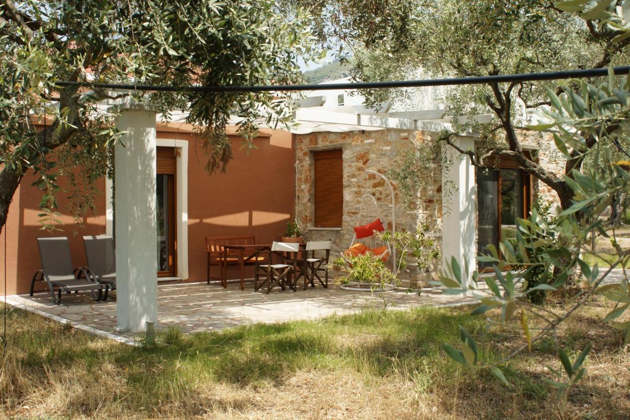 Elea Stone Houses In Organic Quiet Olive Grove, Prinos, Thassos Eksteriør billede