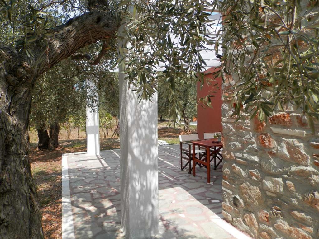 Elea Stone Houses In Organic Quiet Olive Grove, Prinos, Thassos Eksteriør billede