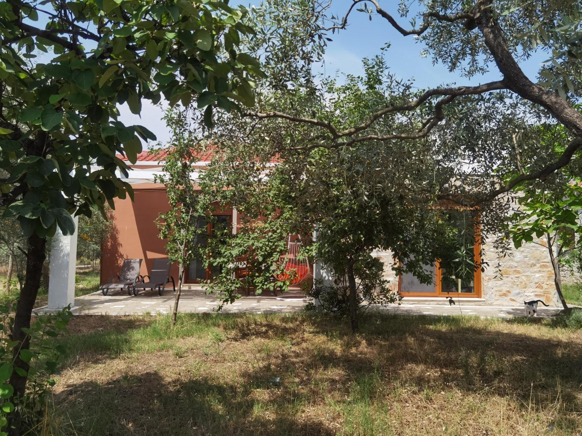 Elea Stone Houses In Organic Quiet Olive Grove, Prinos, Thassos Værelse billede