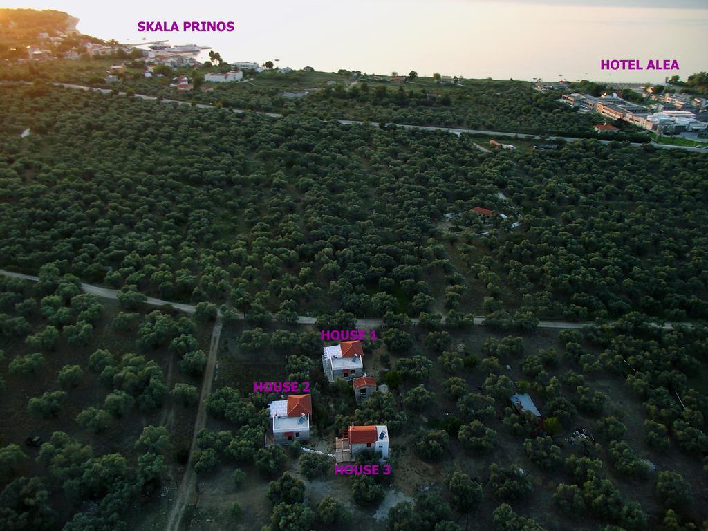 Elea Stone Houses In Organic Quiet Olive Grove, Prinos, Thassos Eksteriør billede