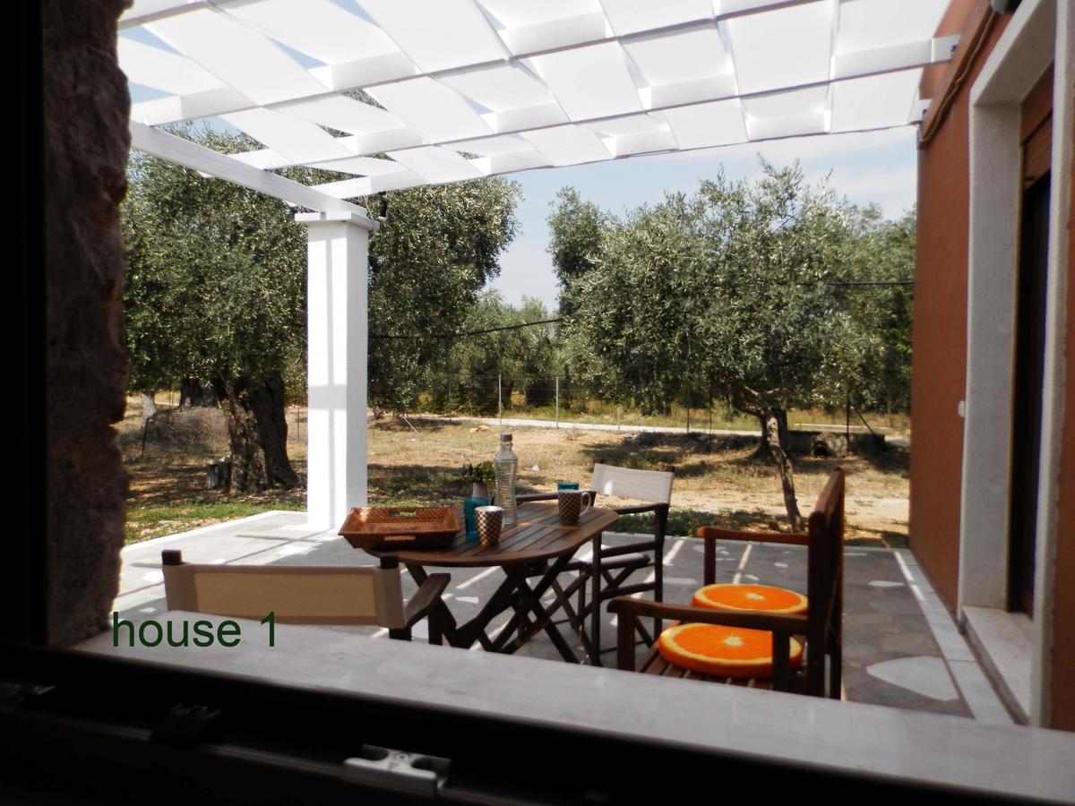 Elea Stone Houses In Organic Quiet Olive Grove, Prinos, Thassos Eksteriør billede