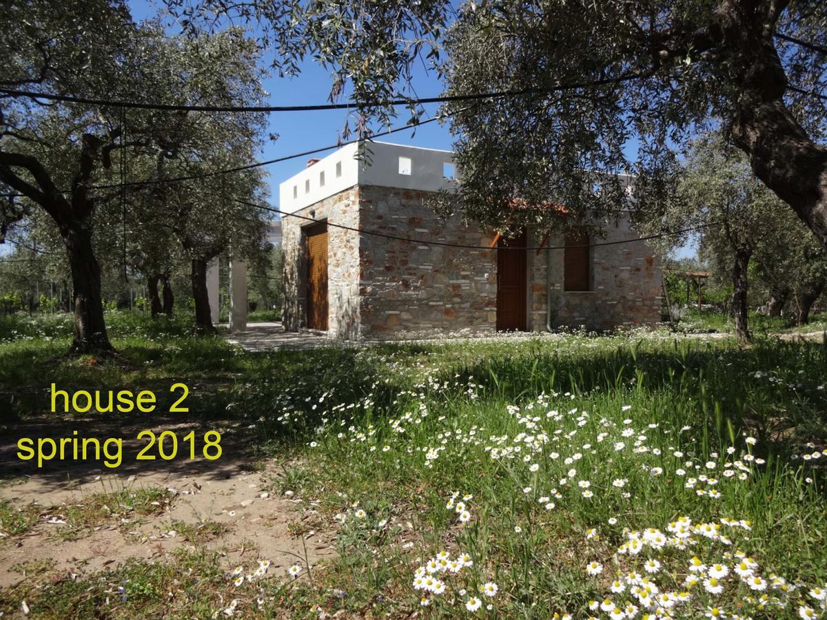 Elea Stone Houses In Organic Quiet Olive Grove, Prinos, Thassos Eksteriør billede