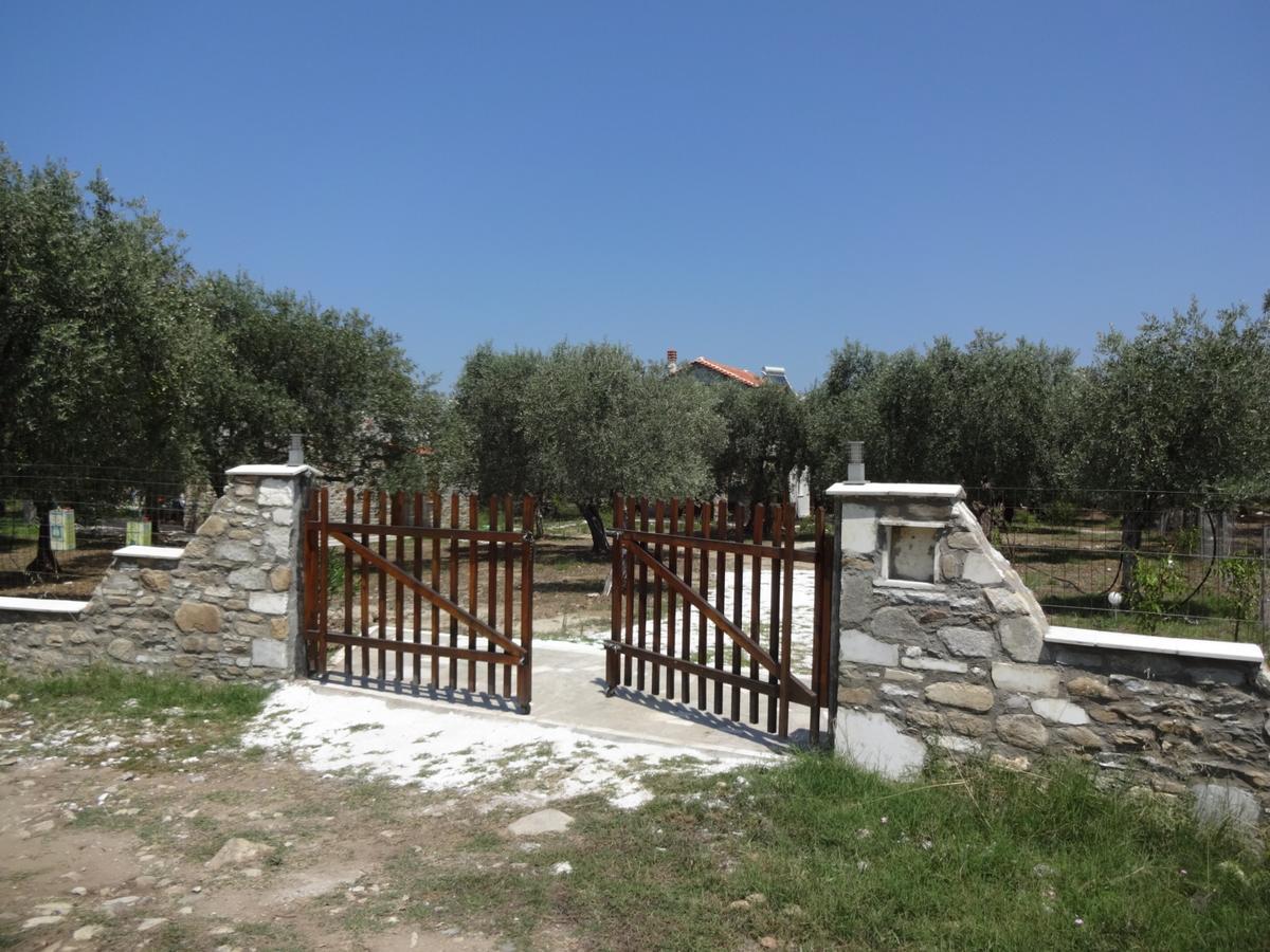 Elea Stone Houses In Organic Quiet Olive Grove, Prinos, Thassos Eksteriør billede